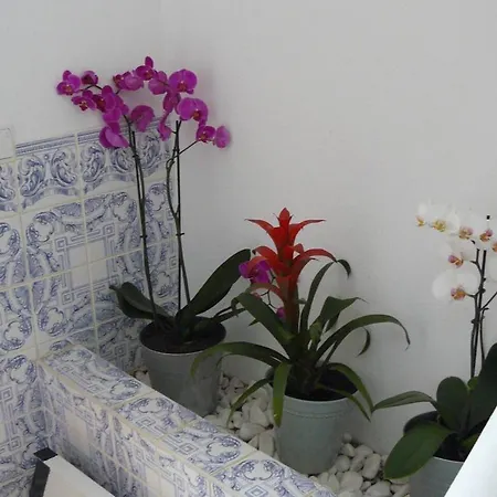 Charming Countryside 2-bed Pool Hotub Apartment *